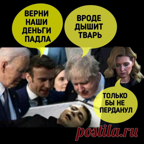 МОВА! ЯЗЫК! И СУРЖИК! | Сила В Правде | Дзен