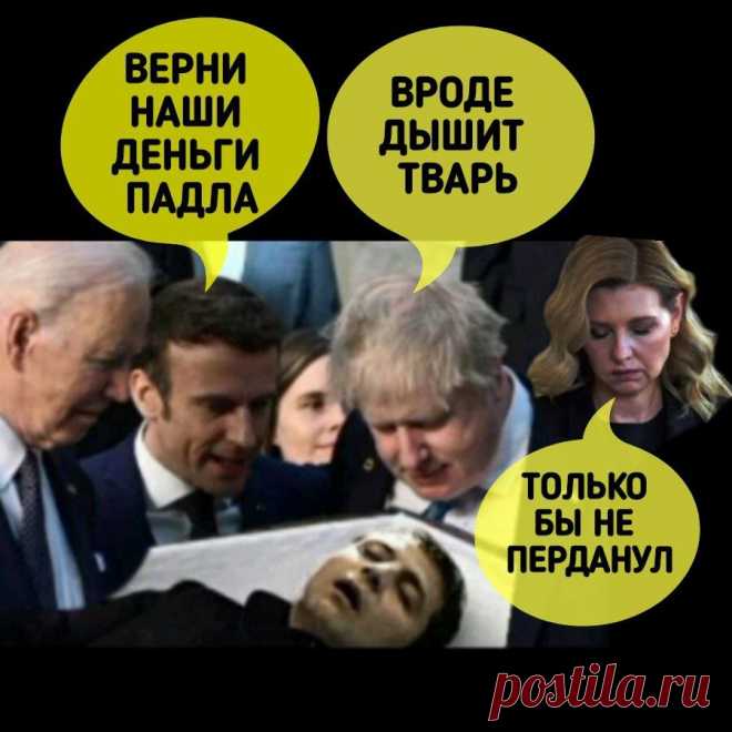 МОВА! ЯЗЫК! И СУРЖИК! | Сила В Правде | Дзен