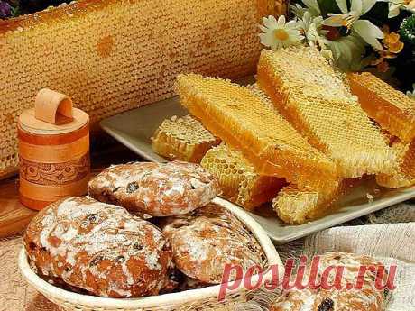 Медовая кулинария. Медовые пряники и коврижки..