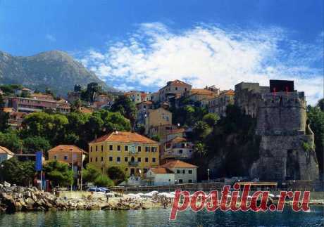 (7) Olga Vasilevskaya
Herceg Novi