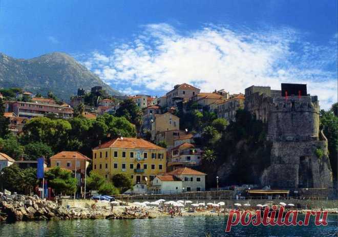 (7) Olga Vasilevskaya
Herceg Novi