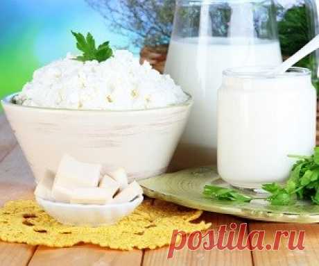 Молочная диета: худеем после праздников - health info