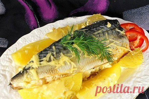 Подборка вкуснейших блюд из скумбрии