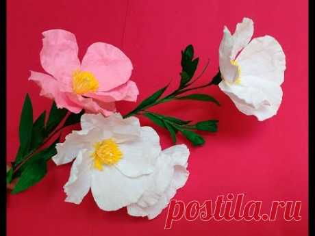 Paper Flowers Rockrose \ Cistus ( flower # 183)