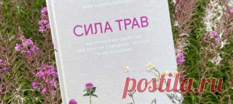 Наш традиционный книжный рейтинг. Рассказываем, что читали МИФовцы в августе. Знакомьтесь с новинками и составляйте свой читательский вишлист.
