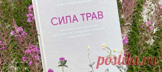 Наш традиционный книжный рейтинг. Рассказываем, что читали МИФовцы в августе. Знакомьтесь с новинками и составляйте свой читательский вишлист.