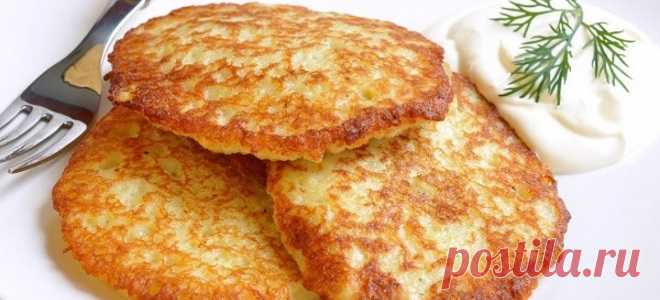 Картофельные оладьи с сыром, ветчиной и мясом - рецепты из пюре. Как приготовить картофельные оладьи без яиц?