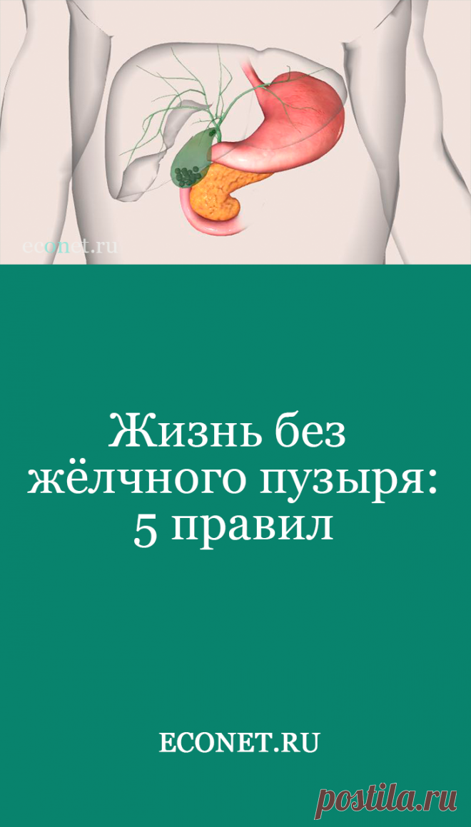 Как живут без желчного отзывы. Вырезанный желчный пузырь. Жить без желчного пузыря.