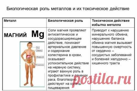 Магний и его роль в организме