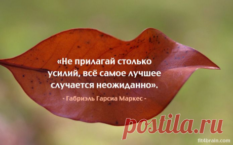 Одной фразой – Фитнес для мозга