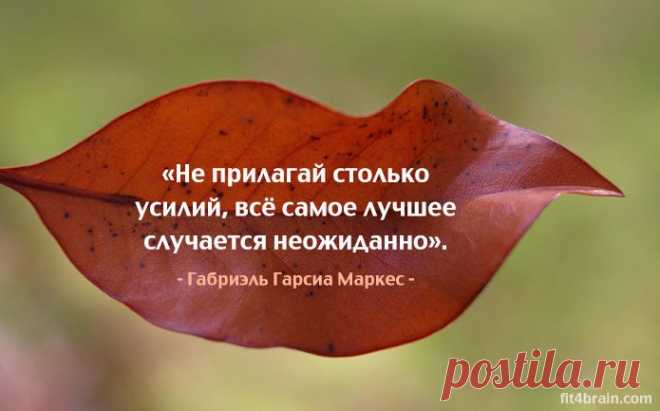 Одной фразой – Фитнес для мозга