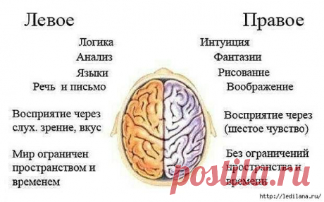 Полезные продукты для мозга