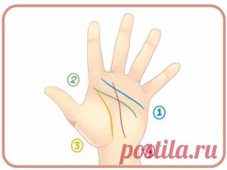 Как гадать по руке. Основы хиромантии. / Все для женщины