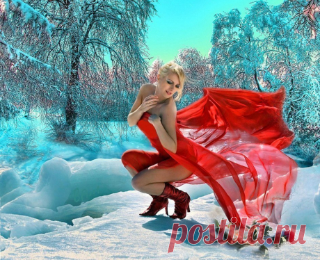 Розы на снегу ~ Плэйкасты ~ Beesona.Ru