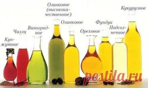 Растительные масла — информация о каждом — Планета и человек