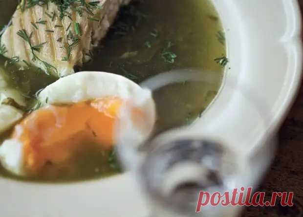 Рахмановские щи (рыбные): старинный рецепт - Вкусно с Любовью - медиаплатформа МирТесен