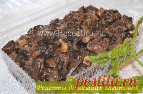 Как заморозить подберезовики на зиму | Рецепты домашних заготовок