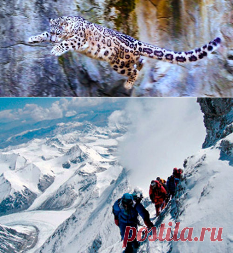 Предательство и смерть »