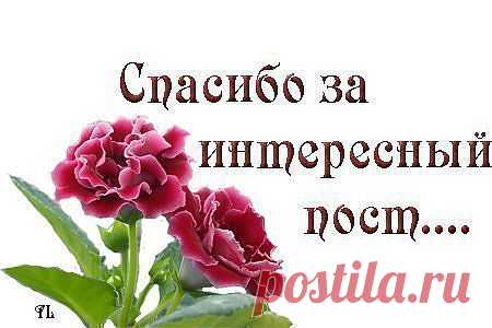 ЗАГОВОРЫ НАТАЛЬИ СТЕПАНОВОЙ, СИБИРСКОЙ ЦЕЛИТЕЛЬНИЦЫ.