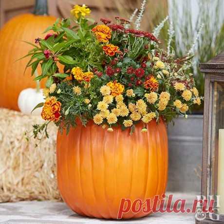 Fall Outdoor Decorating: From Halloween to Thanksgiving | Better Homes & Gardens