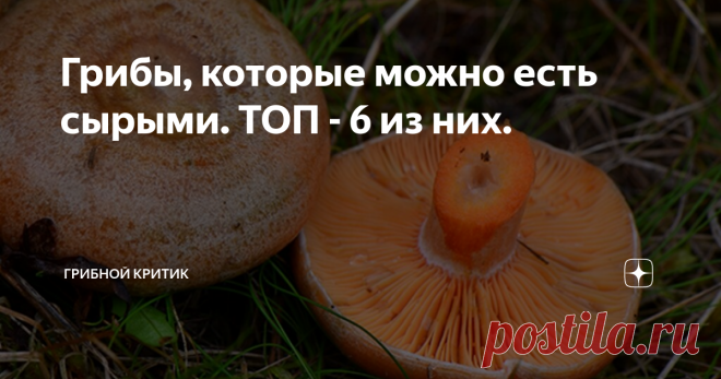 Грибы которые можно есть сырыми
