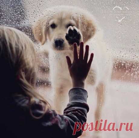 Понимают лишь те, кто хочет понять.  © Бернар Вербер