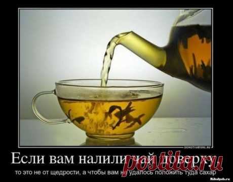 Свежие демотиваторы с добрым утром (38 штук) . Тут забавно !!!