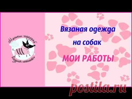 Вязаная одежда на собак своими руками "МОИ РАБОТЫ". Вяжем одежду на собак.