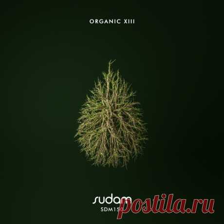 VA - Organic XIII [Sudam Recordings ] 
https://specialfordjs.org/afro-house/76809-va-organic-xiii-sudam-recordings-.html