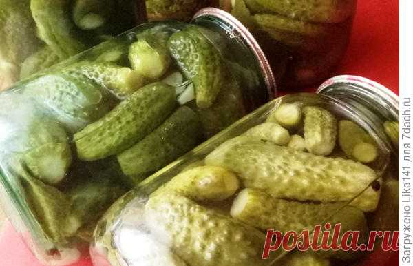 Маринованные огурцы, которые никогда не взрываются. Рецепт + видео