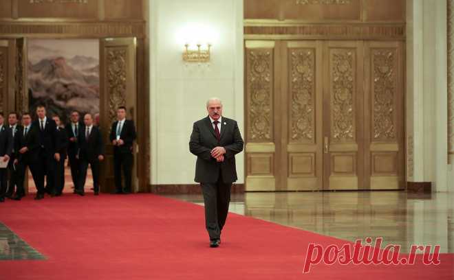 Лукашенко заявил народу Польши о готовности строить «мосты дружбы». Президент Белоруссии Александр Лукашенко поздравил народ Польши с Днем независимости.