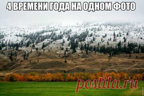KAZAKH LIFE