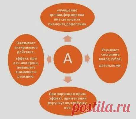 Витамины группы А.