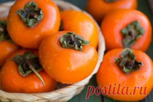 Выращивание хурмы | Garden-Zoo.ru | Яндекс Дзен
