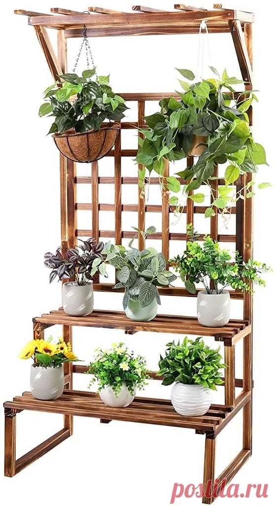 Amazon.com : unho Rustic Plant Stand 2 Tier Carbonized Pine Wood Display Shelf Ladder Rack with Trellis Indoor Outdoor for Corner Patio Balcony Garden Yard Decor : Garden & Outdoor