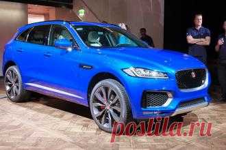 Авто Сколько будет стоить кроссовер Jaguar F-Pace на Украине? - свежие новости Украины и мира
