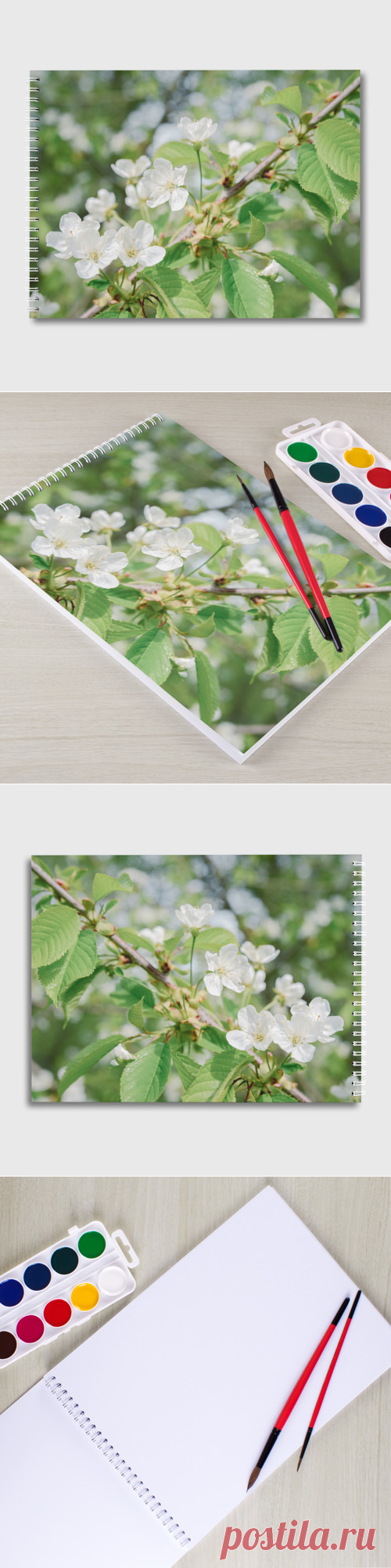 Альбом для рисования Цветущая ветка вишни, фото - купить по цене 510 руб в интернет-магазине Всемайки, арт 3652995