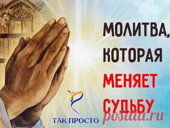 Молитва святому Николаю Чудотворцу, которая изменит судьбу!
Не все верят в чудо и силу молитвы, но если возникают непреодолимые жизненные трудности, остается только молиться. В моей семье особо почитался святой Николай, потому что так звали отца. Знаю с детства образ этого приятного старца, его лицо кажется таким добрым и всё понимающим.
Святой Николай Чудотворец слышит молитвы миллионов верующих и является посредником между обычными людьми и Всевышним. Он способен помочь излечить серьезную боле