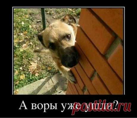 воришки где ? можно выходить ????