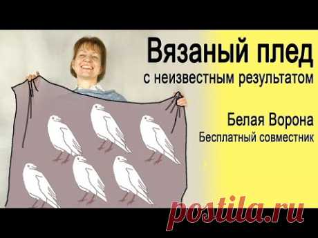 Бесплатный открытый совместник &quot;Белая ворона&quot;