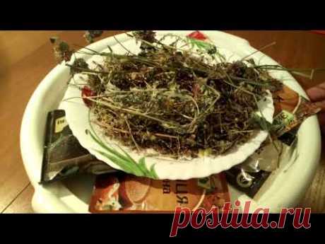 ПАПИЛЛОМЫ - БЫСТРОЕ ИЗБАВЛЕНИЕ ОТ ВИСЯЧИХ ПАПИЛЛОМ !!! КАКОЕ ЛЕЧЕНИЕ???