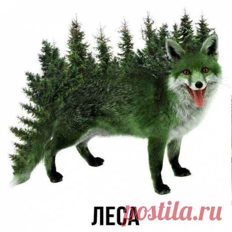 10 привычек, которые отравляют тебе жизнь.

Когда вы перестанете делать неправильные вещи, то появится больше пространства для того, чтобы сделает себя счастливыми. Поэтому начиная с сегодня: