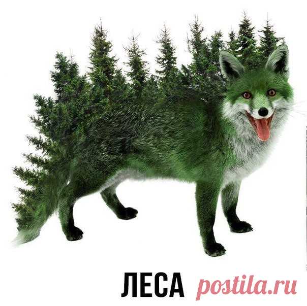 10 привычек, которые отравляют тебе жизнь.

Когда вы перестанете делать неправильные вещи, то появится больше пространства для того, чтобы сделает себя счастливыми. Поэтому начиная с сегодня: