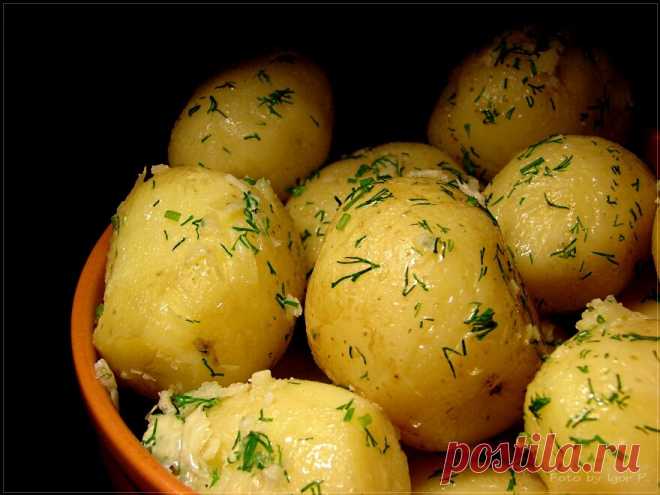 Как правильно варить картофель, чтобы он получился вкусным? Мои кулинарные секреты | Вкусно и полезно | Яндекс Дзен