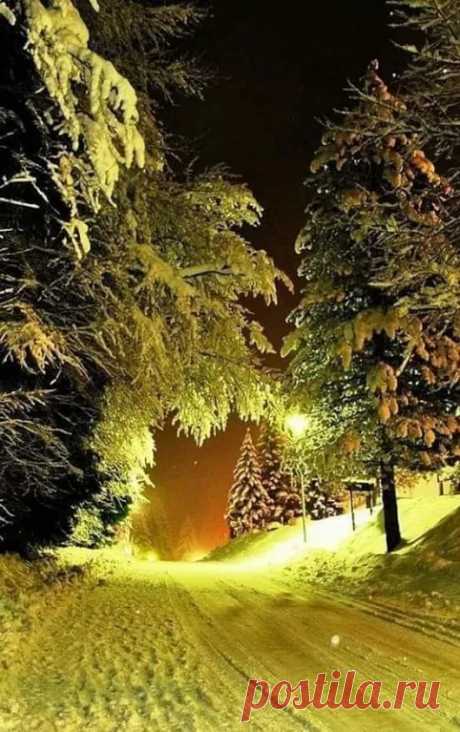 Галина Андреева - Google+