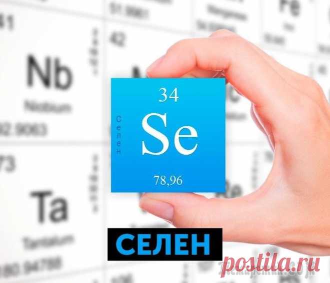 Селен в продуктах питания и его роль в организме