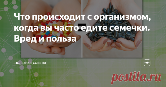 Что происходит с организмом, когда вы часто едите семечки. Вред и польза