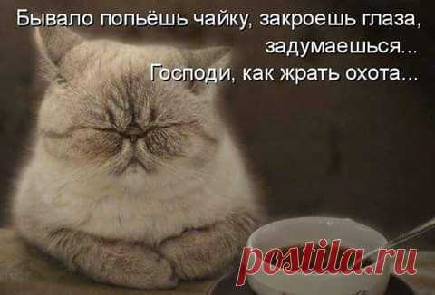 хх