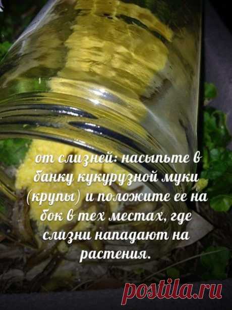 совет!!!