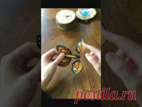 Batterfly Effekt